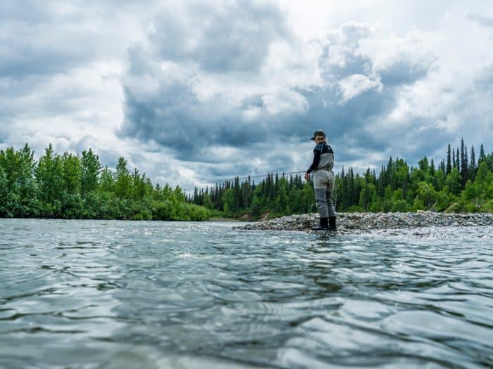 Alaska on the Menu: Sophisticated Lodge Dining in the Heart of the Wild