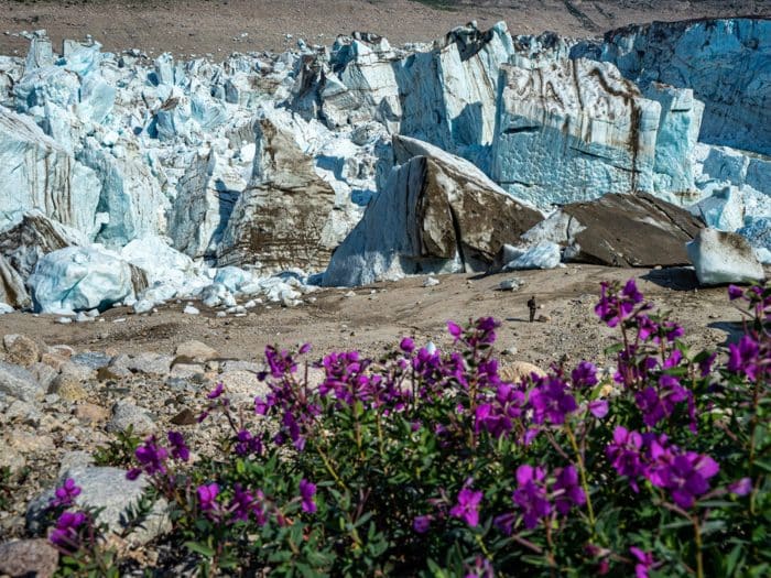 What is it Like in Alaska in Summer?