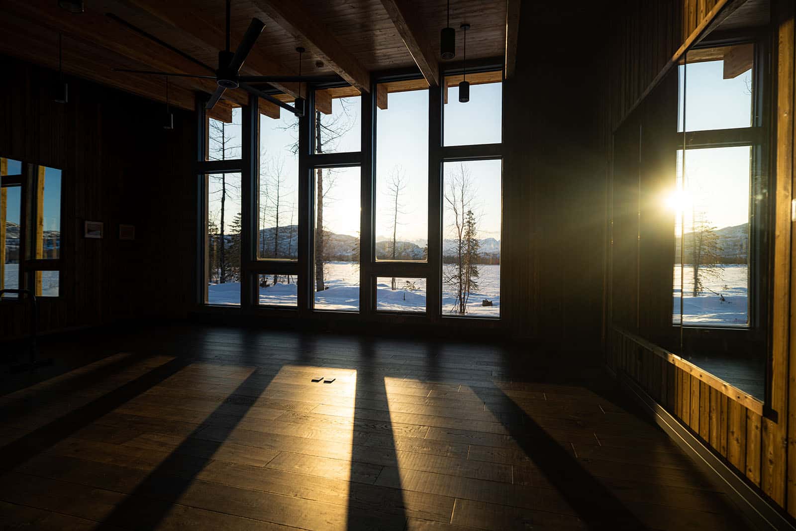 Yoga and movement studio
